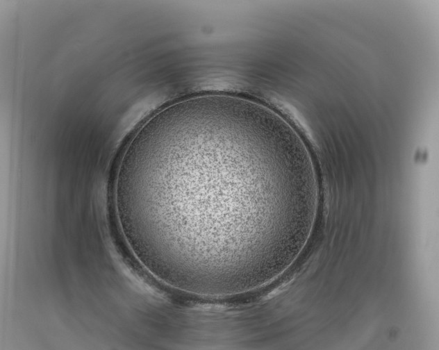 X0000092080482200709191228
