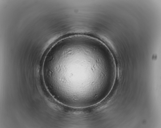 X0000092080483200709191228