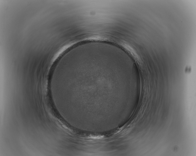 X0000092080484200709191228