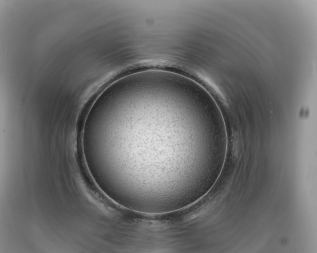X0000092080486200709191228