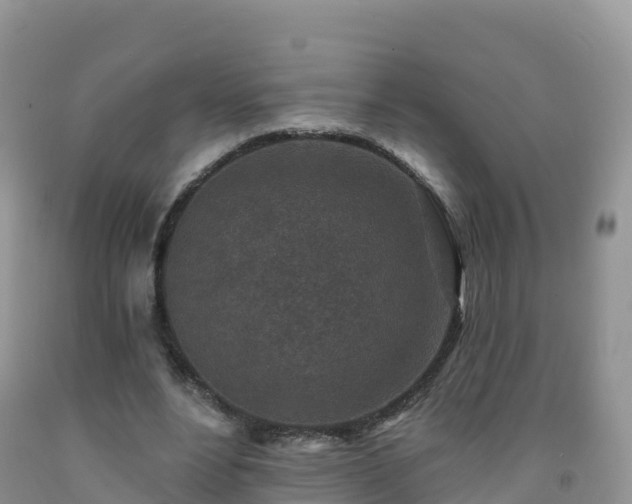 X0000092080488200709191228