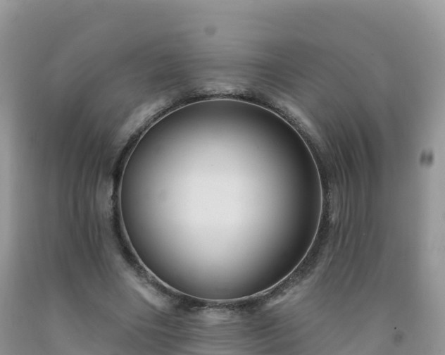 X0000092080490200709191228