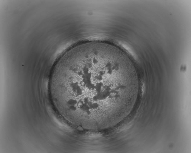X0000092080491200709191228