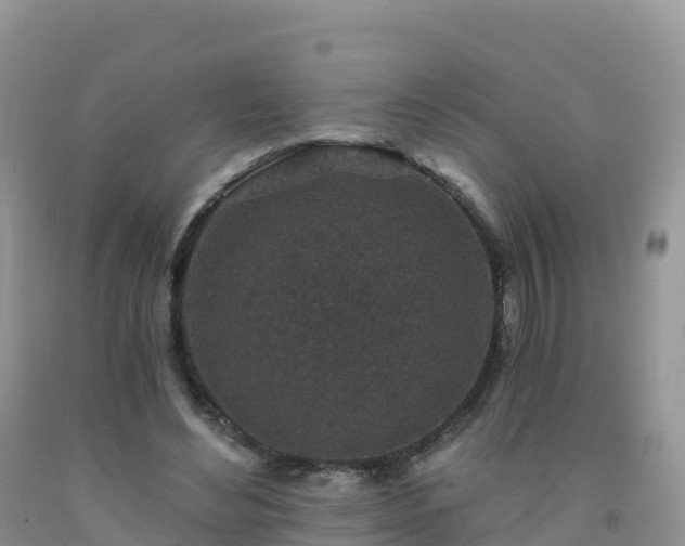 X0000092080492200709191228