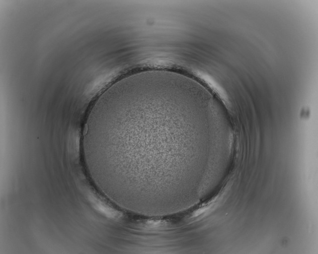 X0000092080493200709191228