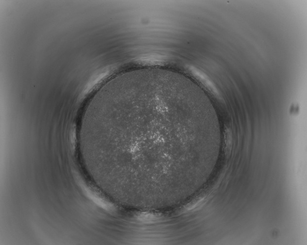 X0000092080494200709191228