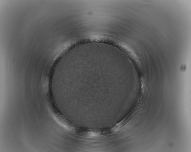 X0000092080496200709191228