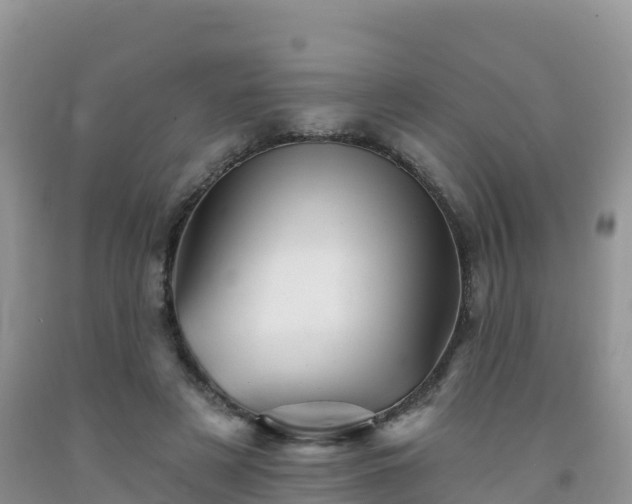 X0000092080497200709191228