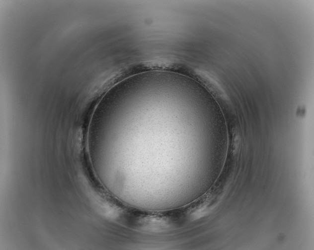 X0000092080498200709191228
