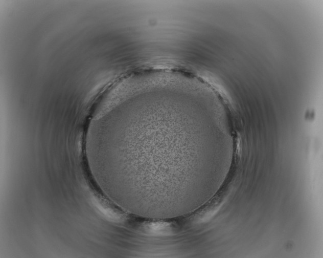 X0000092080501200709191227