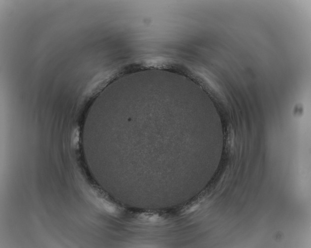 X0000092080502200709191227