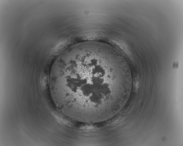 X0000092080503200709191227