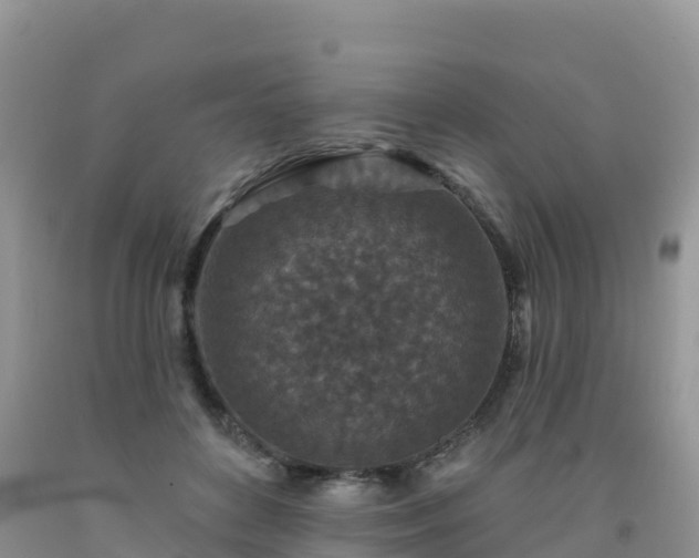 X0000092080504200709191227