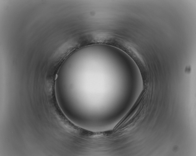 X0000092080505200709191227