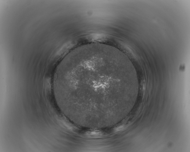 X0000092080506200709191227