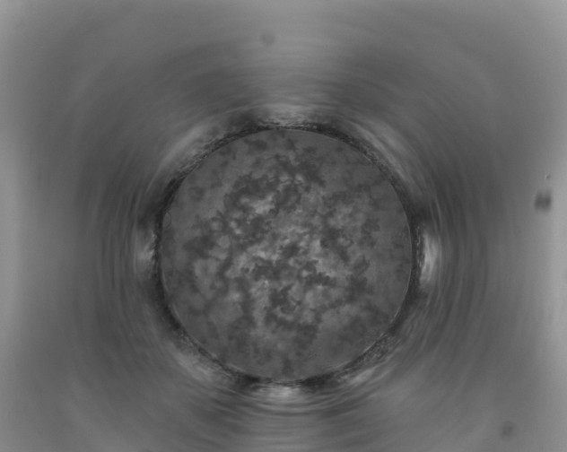 X0000092080507200709191227