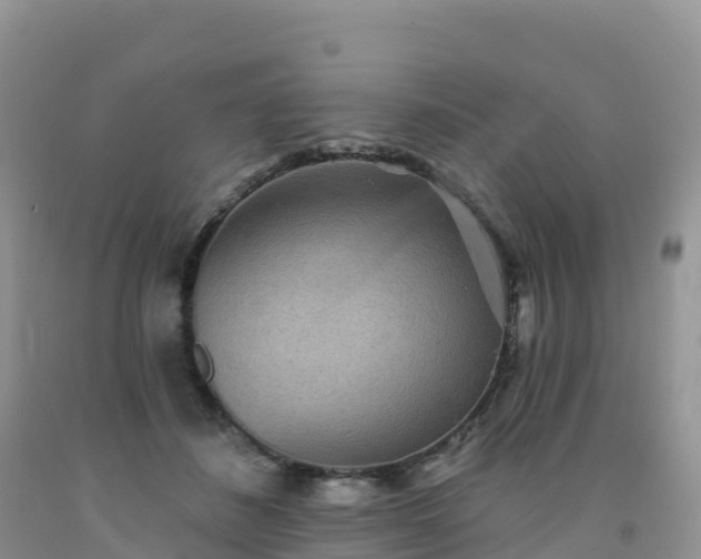 X0000092080508200709191227