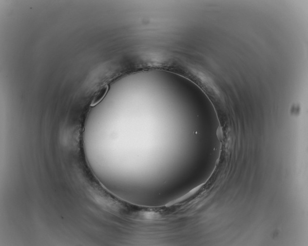 X0000092080509200709191227