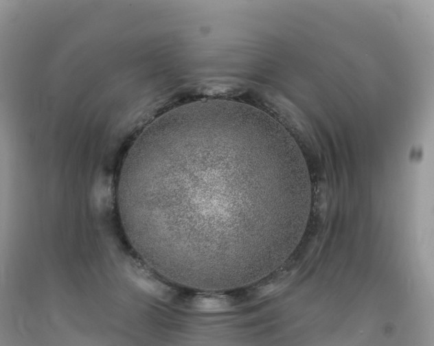 X0000092080510200709191227