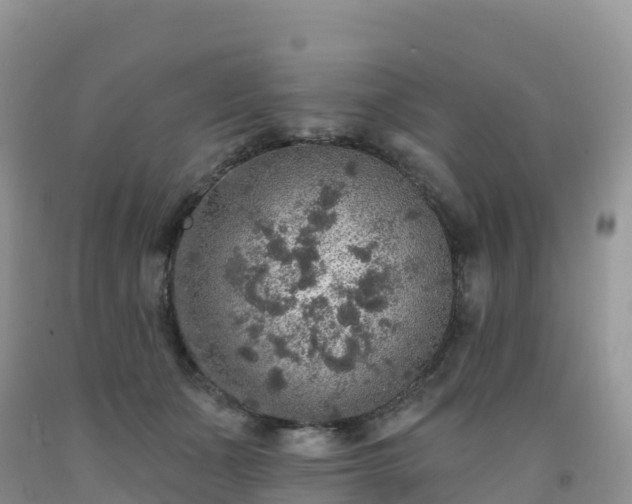 X0000092080511200709191227