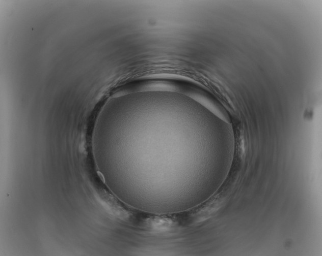 X0000092080512200709191227