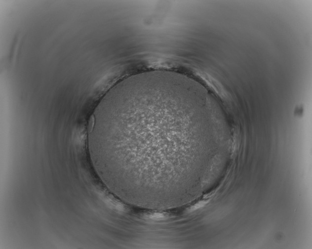X0000092080513200709191227