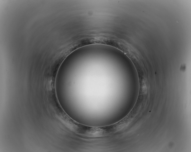X0000092080514200709191227