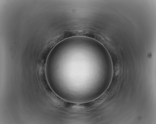 X0000092080515200709191227
