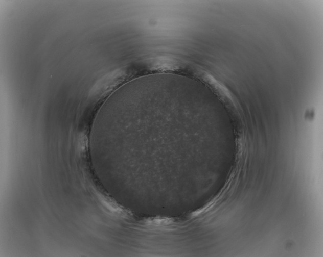 X0000092080517200709191227