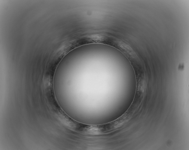 X0000092080518200709191227