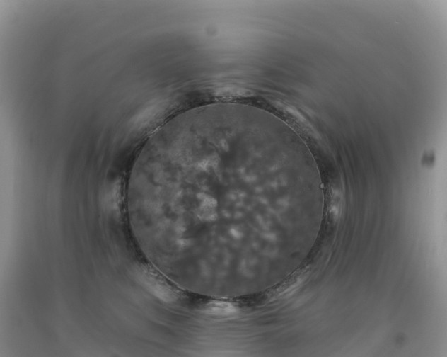 X0000092080519200709191227