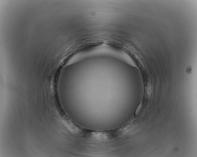 X0000092080520200709191227