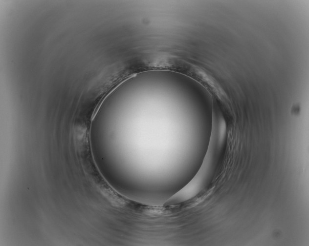 X0000092080521200709191227