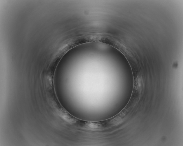 X0000092080522200709191227