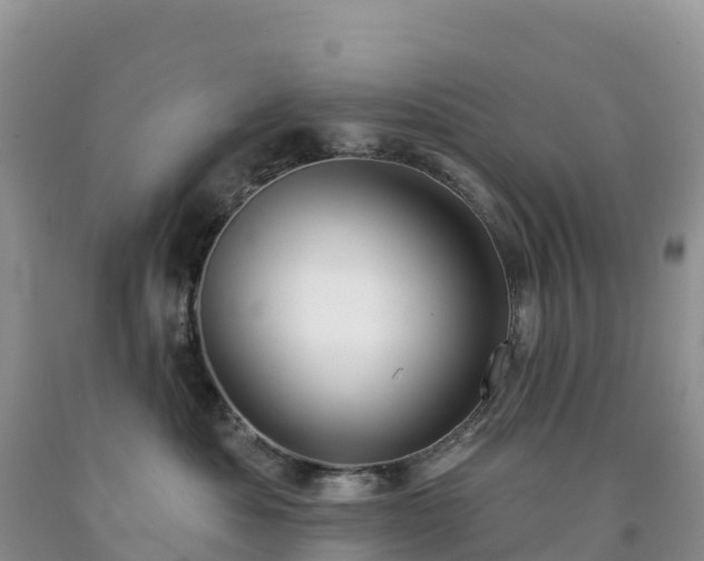 X0000092080525200709191227