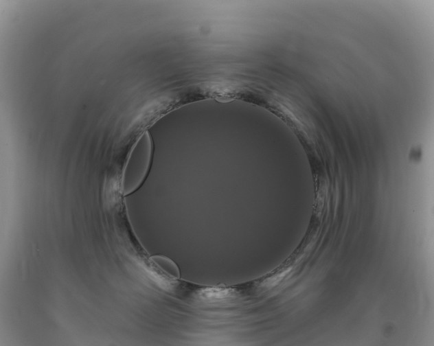 X0000092080526200709191227