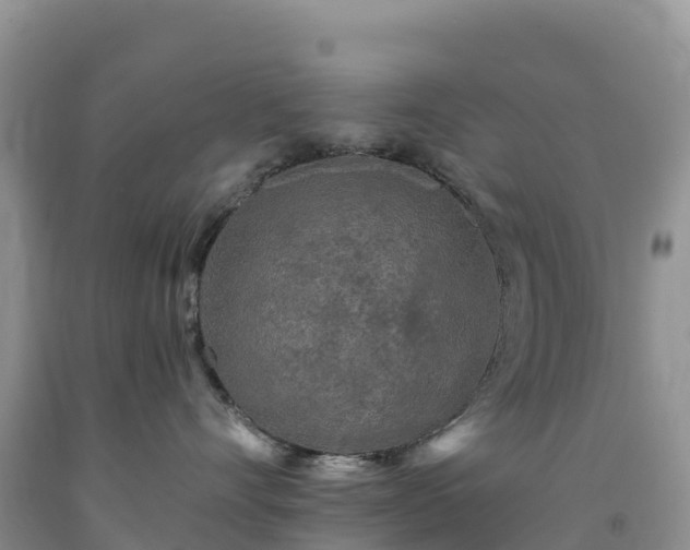 X0000092080528200709191227