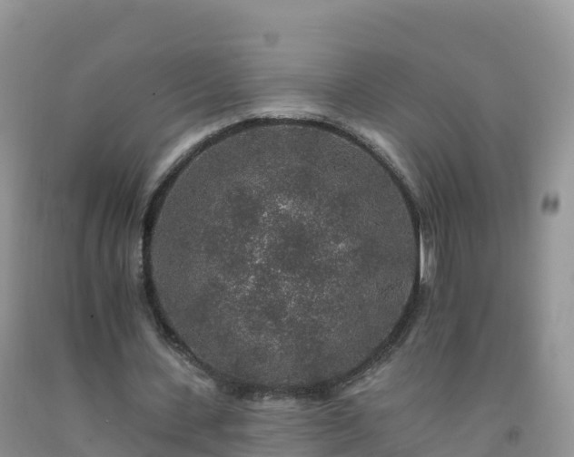X0000092080531200709191227