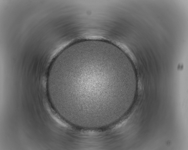 X0000092080533200709191227
