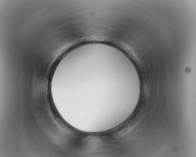 X0000092080534200709191227