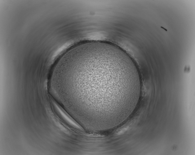 X0000092080535200709191227