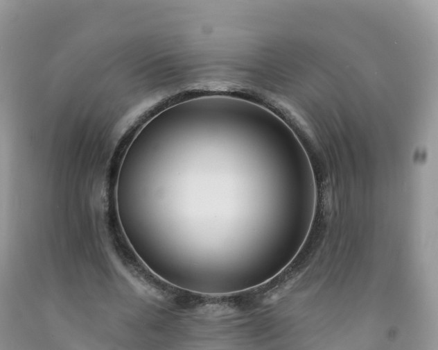 X0000092080536200709191227