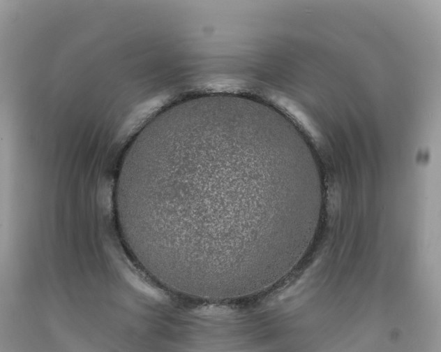X0000092080537200709191227