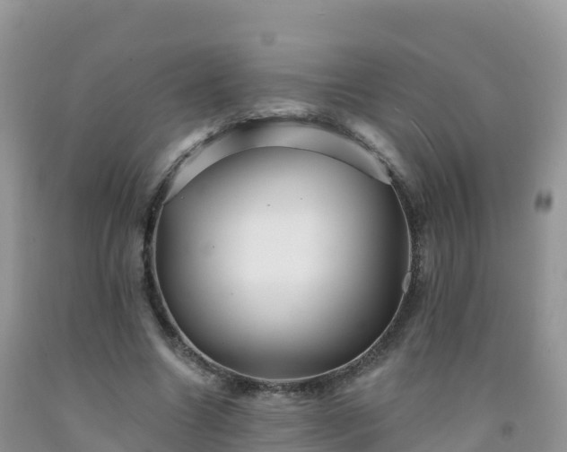 X0000092080538200709191227