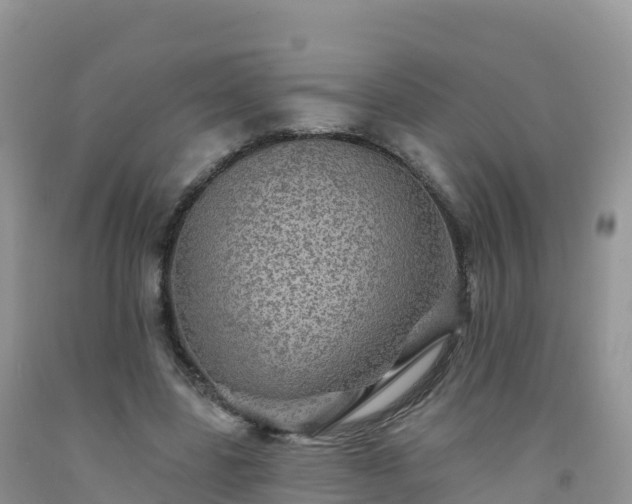 X0000092080539200709191227