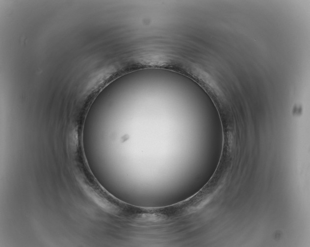 X0000092080541200709191227