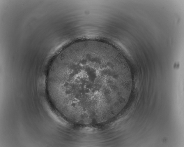 X0000092080542200709191227