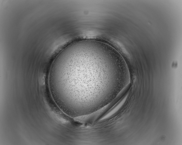 X0000092080543200709191227