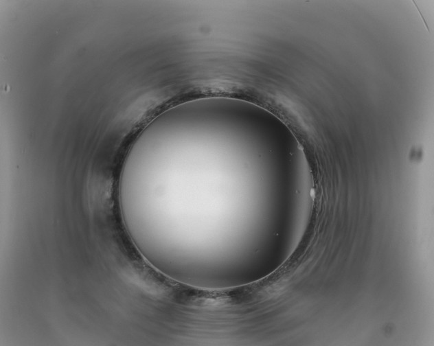 X0000092080548200709191227