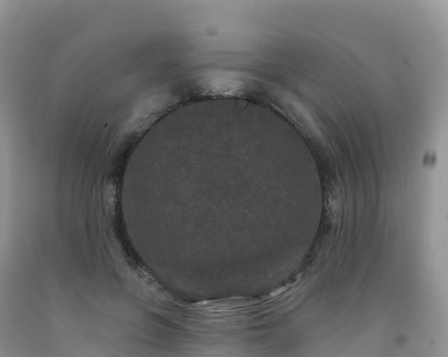 X0000092080551200709191227
